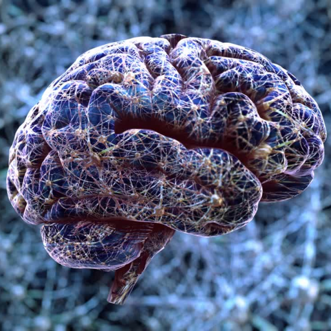 Fevereiro Roxo: Vamos falar sobre o Alzheimer?